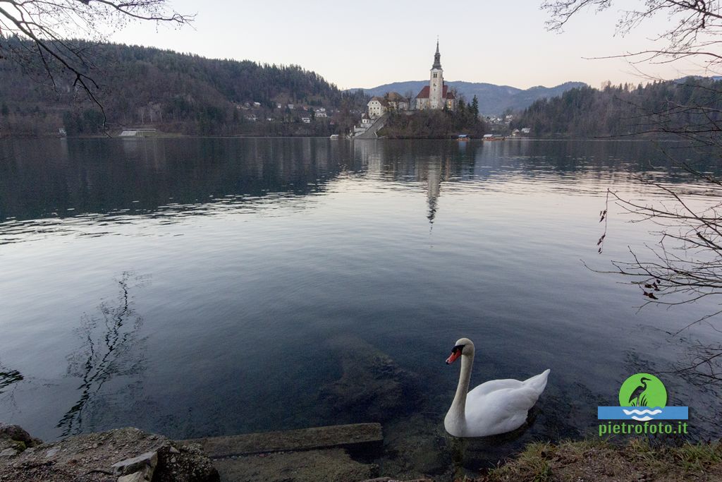 Il lago di Bled