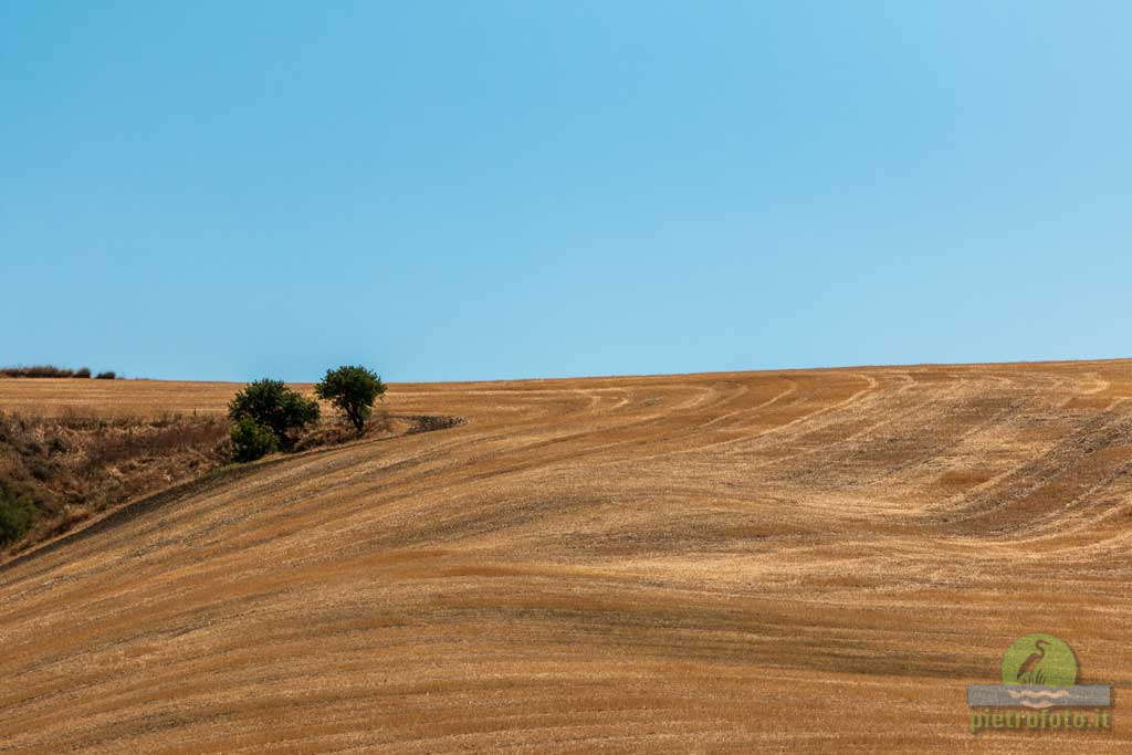 Paesaggio della Basilicata