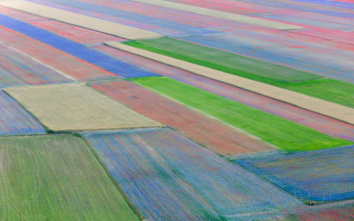 Castelluccio-campi