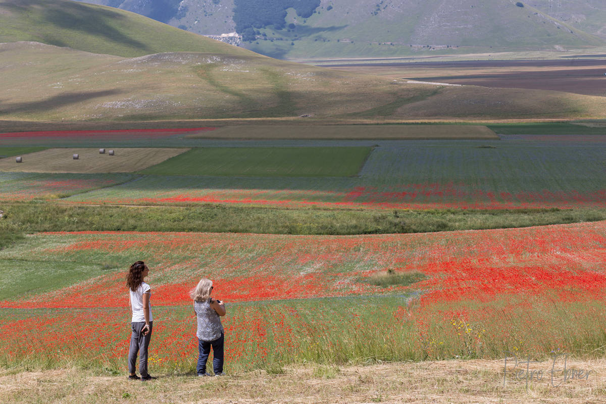 Castelluccio di Norcia