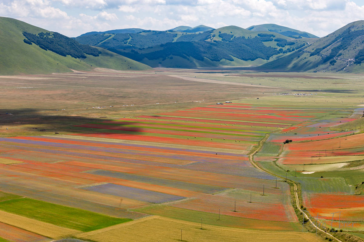 Castelluccio-campi