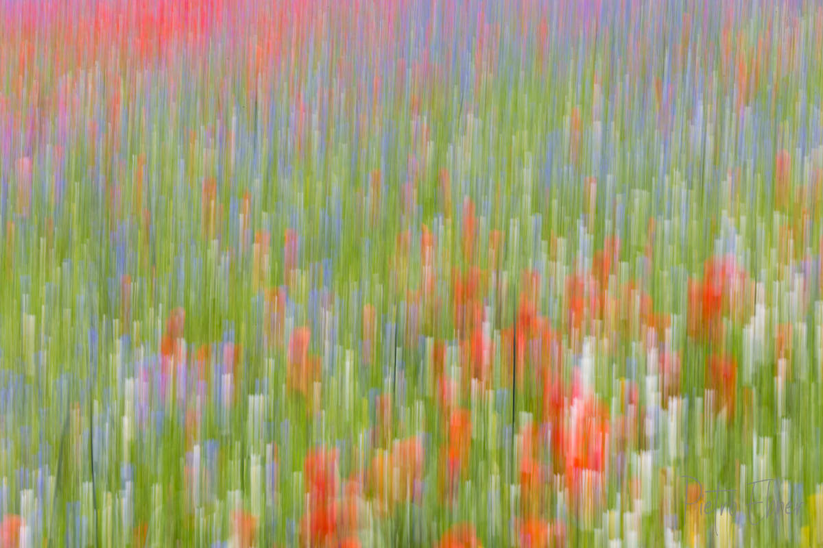 Castelluccio di Norcia