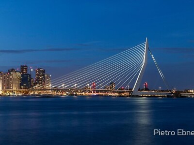 Erasmus bridge
